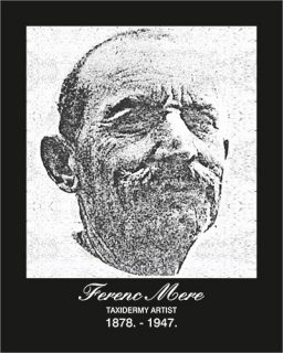 ferenc mere